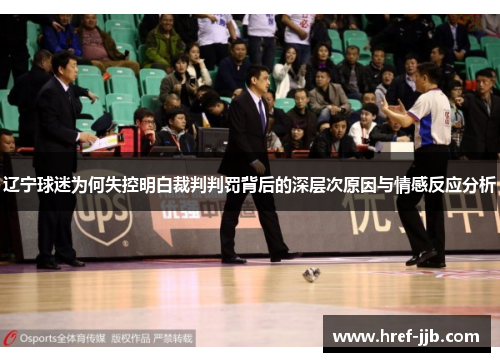 辽宁球迷为何失控明白裁判判罚背后的深层次原因与情感反应分析