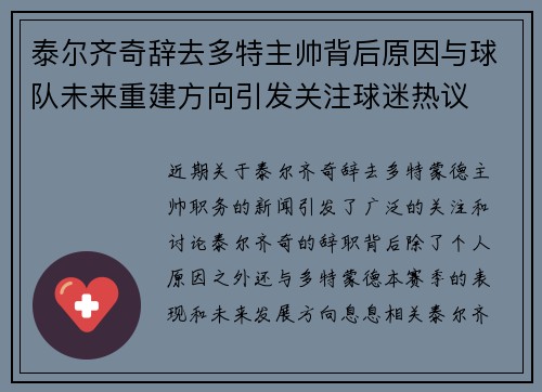 泰尔齐奇辞去多特主帅背后原因与球队未来重建方向引发关注球迷热议